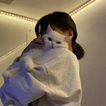 عکس گربه کوچولو بامزه