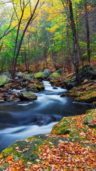 تصویر زمینه موبایل باکلاس