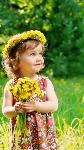  تصاویر زیبای گل برای پس زمینه موبایل