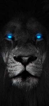 پس زمینه دارک دخترانه