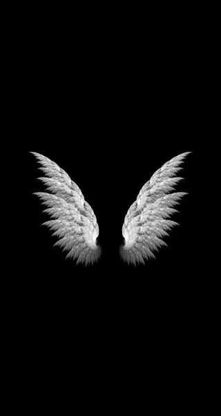  عکس پس زمینه موبایل مشکی