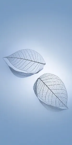  عکس پس زمینه موبایل شیائومی