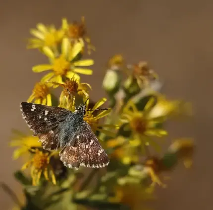  تصاویر منظره طبیعت زیبا