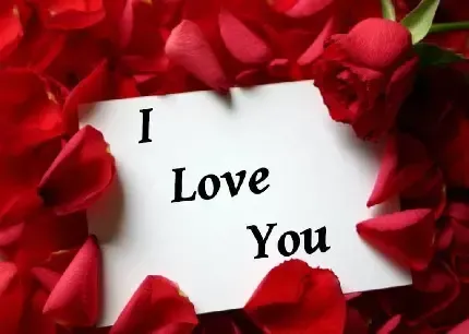  بک گراند عاشقانه خفن