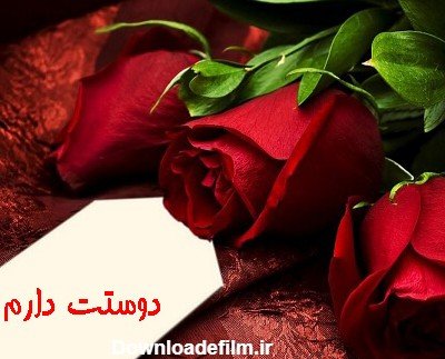  عکس دسته گل عاشقانه