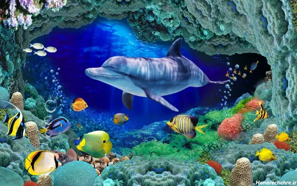 عکس کارتونی زیر دریا