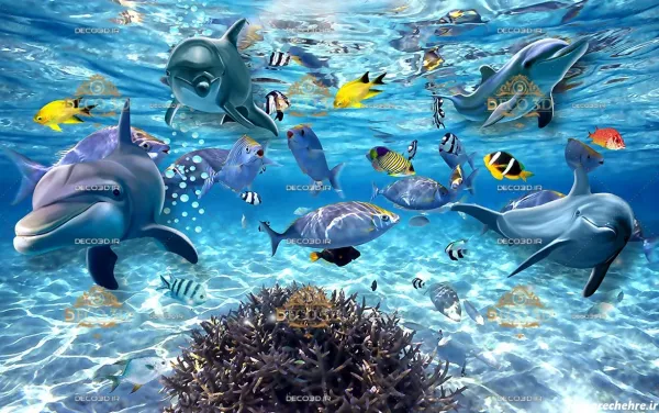  عکس کارتونی زیر دریا