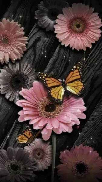  عکس گل و پروانه صورتی