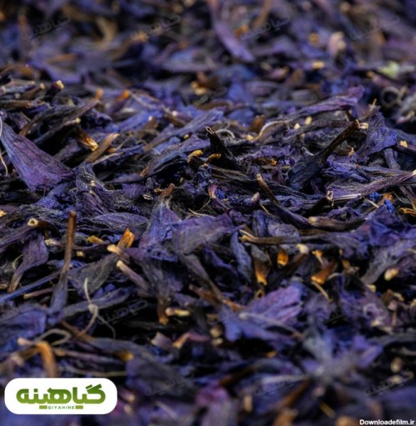  عکس های گل گل گاوزبان