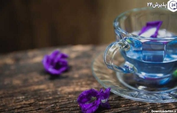  عکس های گل گل گاوزبان