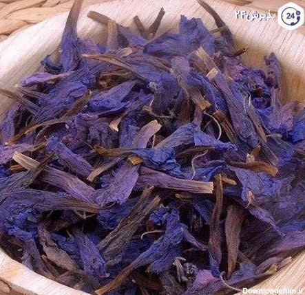  عکس های گل گل گاوزبان