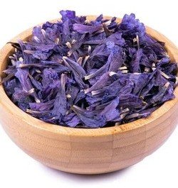  عکس های گل گل گاوزبان