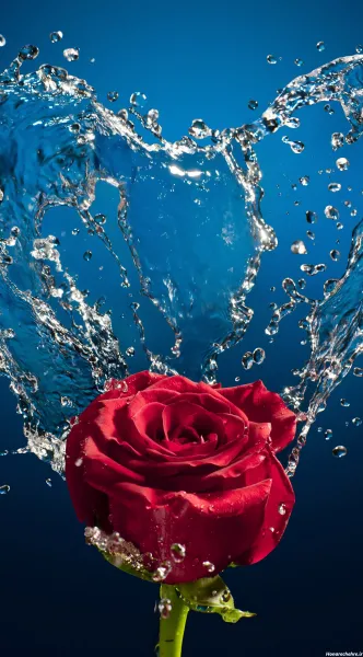  عکس سه بعدی گل