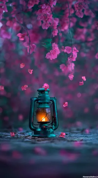  عکس گل سه بعدی برای پروفایل