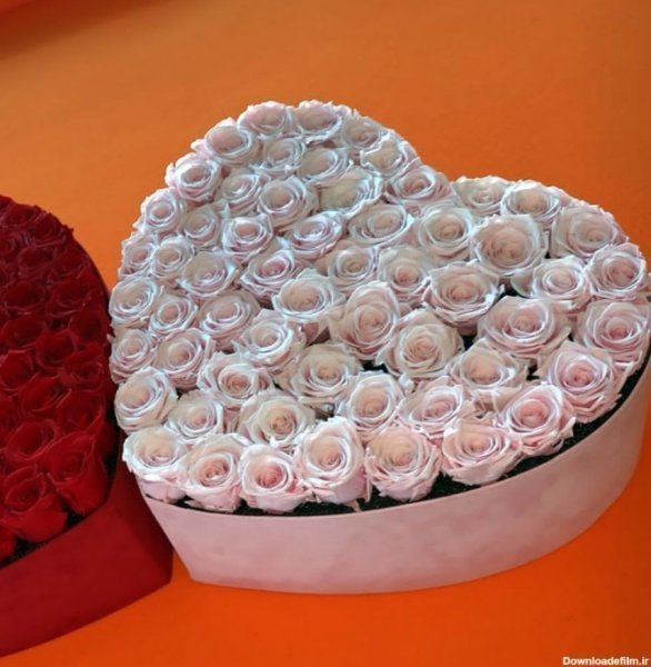  عکس گل و کادو ولنتاین