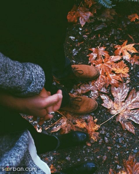  دانلود عکس عاشقانه پاییزی با کیفیت