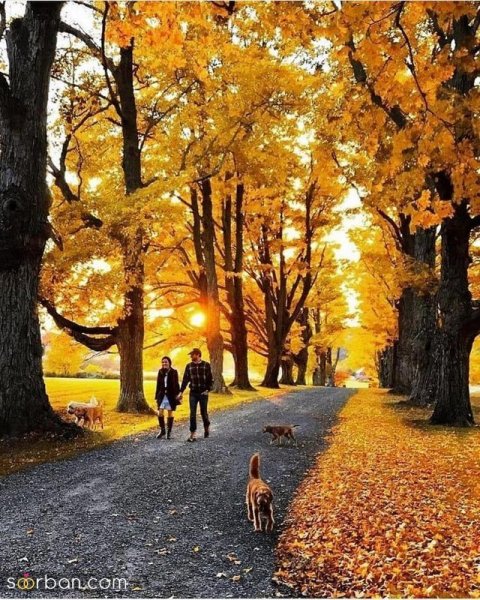  دانلود عکس عاشقانه پاییزی با کیفیت