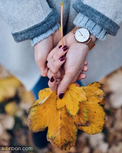  دانلود عکس عاشقانه پاییزی با کیفیت