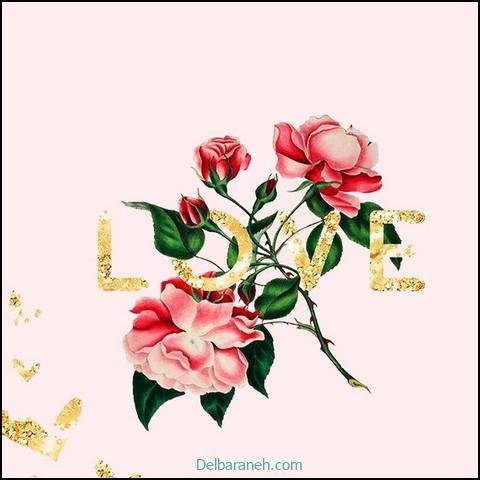  عکس های لاولی و عاشقانه