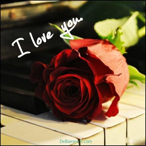  عکس های لاولی و عاشقانه