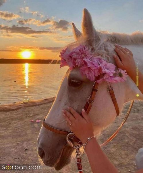  عکس پروفایل جدید دخترونه شاد 2026