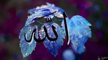 دانلود عکس الله برای پروفایل