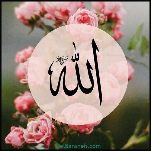 زیباترین عکس الله در قلب