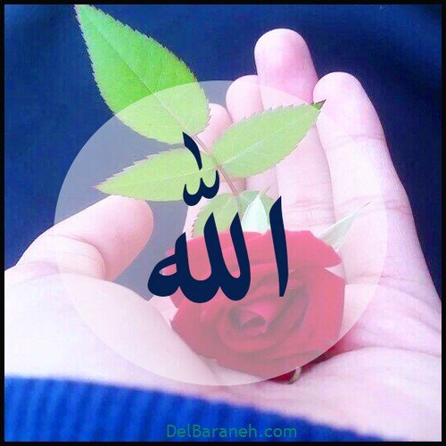 زیباترین عکس الله در قلب