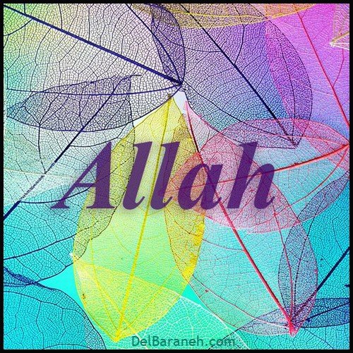  عکس الله جدید