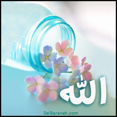 زیباترین عکس الله در قلب