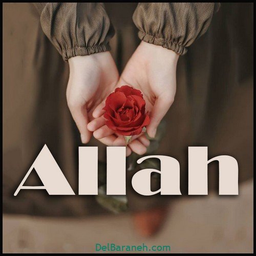 زیباترین عکس الله در قلب