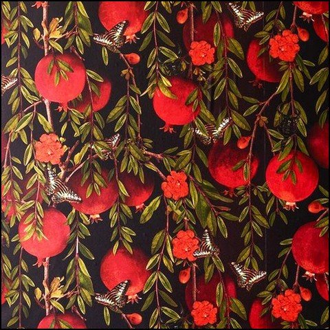 عکس انار فانتزی