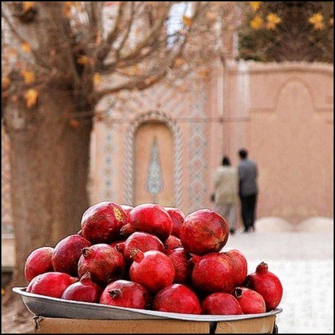 عکس انار فانتزی