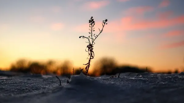  دانلود مجموعه والپیپر 4k برای کامپیوتر