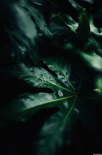  دانلود عکس با کیفیت 4k برای گوشی