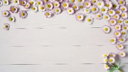  دانلود مجموعه والپیپر برای ویندوز 10