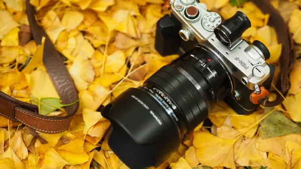  دانلود والپیپر 4k برای کامپیوتر