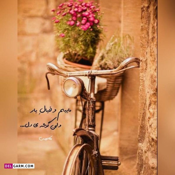  دانلود عکس پروفایل واتساپ