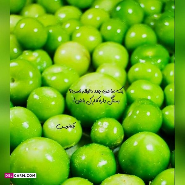  دانلود عکس پروفایل واتساپ