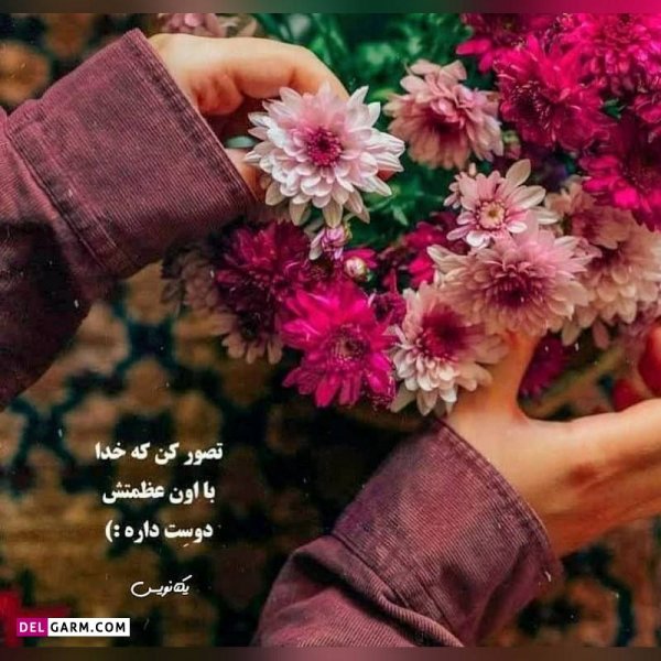  دانلود عکس پروفایل واتساپ