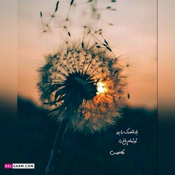  دانلود عکس پروفایل واتساپ