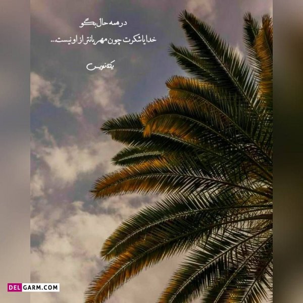  دانلود عکس پروفایل واتساپ