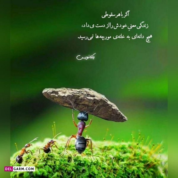  دانلود عکس پروفایل واتساپ
