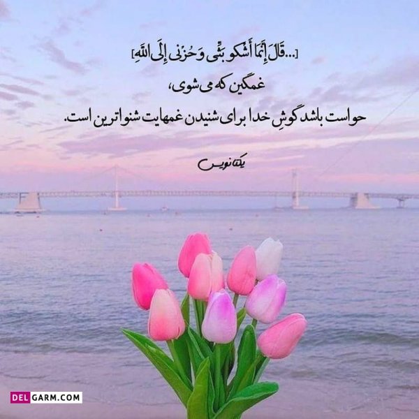  دانلود عکس پروفایل واتساپ