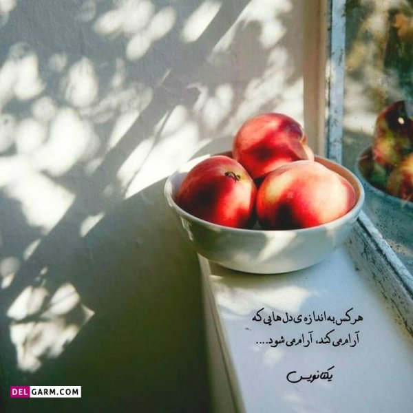  دانلود عکس پروفایل واتساپ