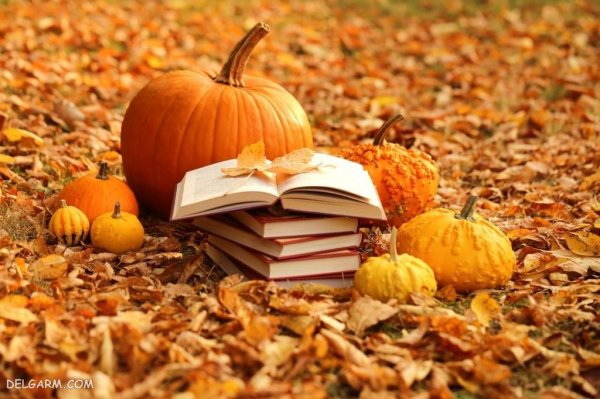  دانلود عکس پاییزی