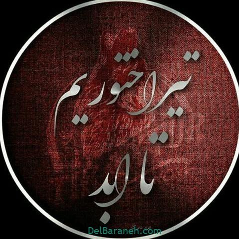  دانلود عکس تیم تراکتور