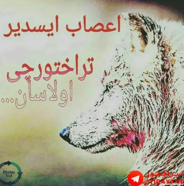  عکس پروفایل تراکتور خفن