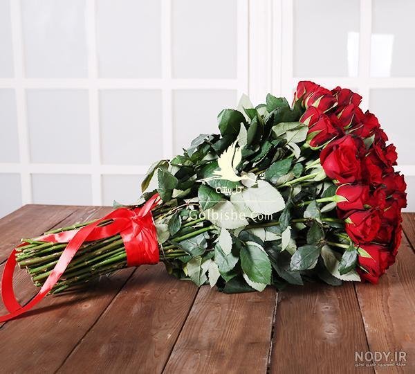 عکس گل رز قرمز مخملی