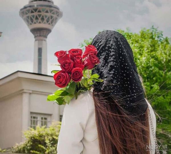عکس گل رز قرمز مخملی